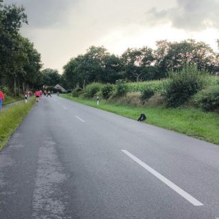 Saisonvorbereitung...

Natürlich läuft das Training schon eine Weile...
Letzte Woche stand allerdings im Zeichen der Freundschaftskämpfe :)

Unsere FI der zukünftigen Bezirksliga haben sich schonmal mit den neuen Gegnern vom @kbvardorf  bekannt gemacht 😁
Auf neutraler Strecke konnten sie hier schonmal die Kräfte messen und sich kennenlernen 🎉
Die Ardorfer Mädels haben sich natürlich nicht lumpen lassen und noch ein paar leckere Snacks nach dem Wettkampf aufgetischt.
Vielen Dank dafür ihr Lieben, hat super viel Spaß gemacht 🤩
Wir freuen auf die Saison mit euch 🥰