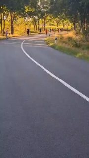 Im August fand noch ein Freundschaftswettkampf unserer Frauen gegen die Freunde - und nun auch Konkurrenten - aus @kbvcollrungebrockzetelwiesens statt. Diese Begegnung hat sich über die letzten Jahre bewährt und macht immer wieder Spaß ☺️
Es waren riesen Würfe und auch ein paar zum Schmunzeln dabei 😁
Anschließend gab's im Vereinslokal noch eine tolle Verpflegung - vielen Dank dafür! 🫶🏼

>> Wir freuen uns auf die Saison mit Euch 🥳🤩

#freundschaftswettkampf #kbvmiddels #boßelnistmeinsport #gummi #holz #saisonkannkommen