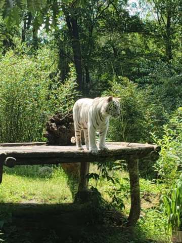 2023-06-24-KBV-Thuele_WA_102