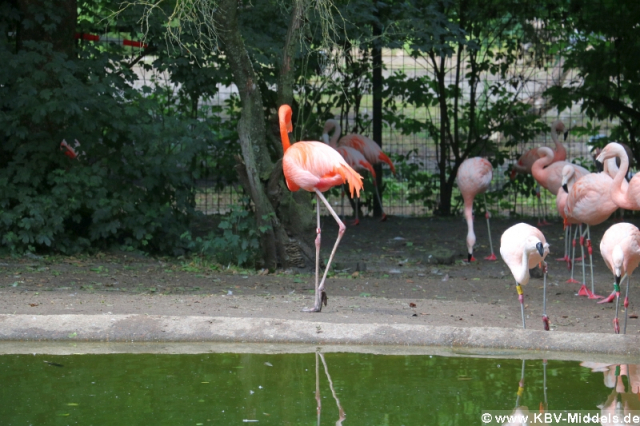 2023_06_24-13_23_07_KBV-Thuele_76