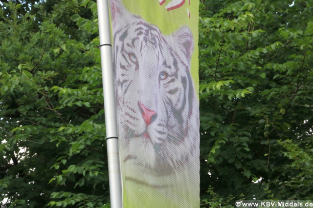 2023_06_24-15_29_45_KBV-Thuele_141